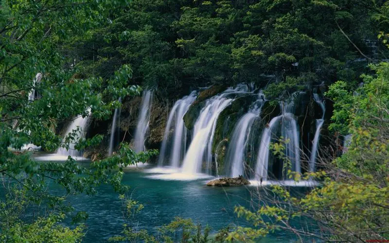 信息化智慧